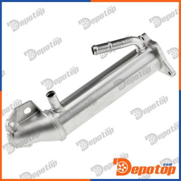 EGR Vanne Refroidisseur pour FORD | 082080002LGK, 082080002OEM